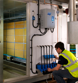 Humidifier maintenance Humidifier maintenance